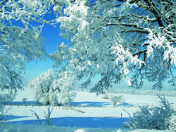 Winter 2011